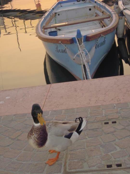 Hotel Casablanca Lazise Dış mekan fotoğraf